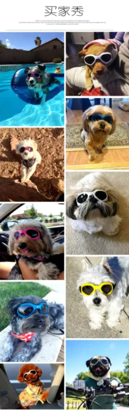 Stylish Sunglasses For Dogs - Protect Your Pup's Eyes in Style!